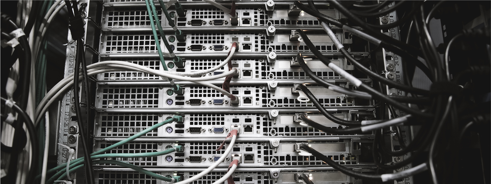 networkbody